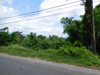 Islington Whitehall, St. Mary, Jamaica - Other for Sale